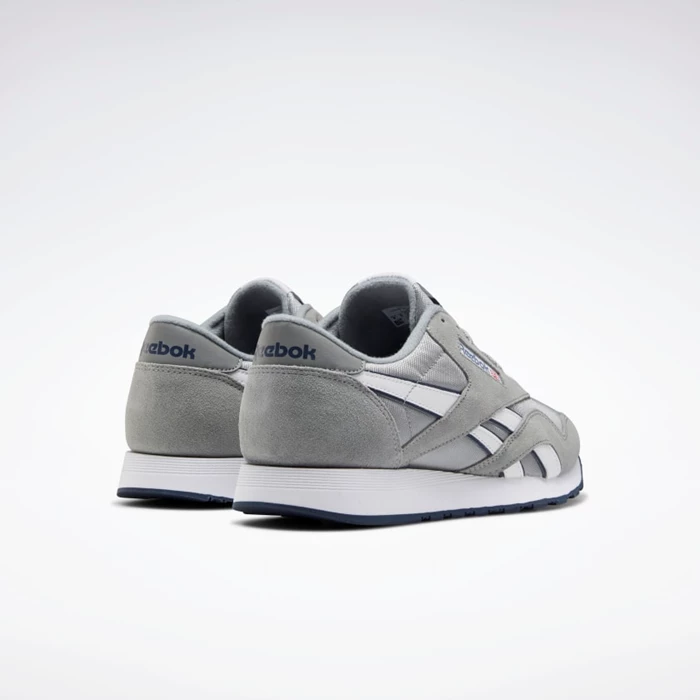 Reebok Classic Nylon Men's Classics Platinum/Platinum/Blue | PH735NP