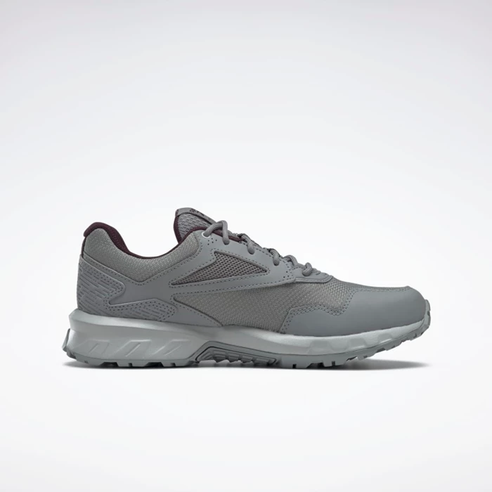 Reebok Ridgerider GTX 5.0 Women's Hiking Shoes Grey/Grey | PH398UJ