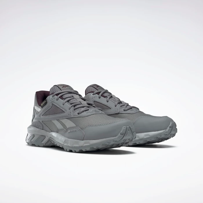 Reebok Ridgerider GTX 5.0 Women's Hiking Shoes Grey/Grey | PH398UJ