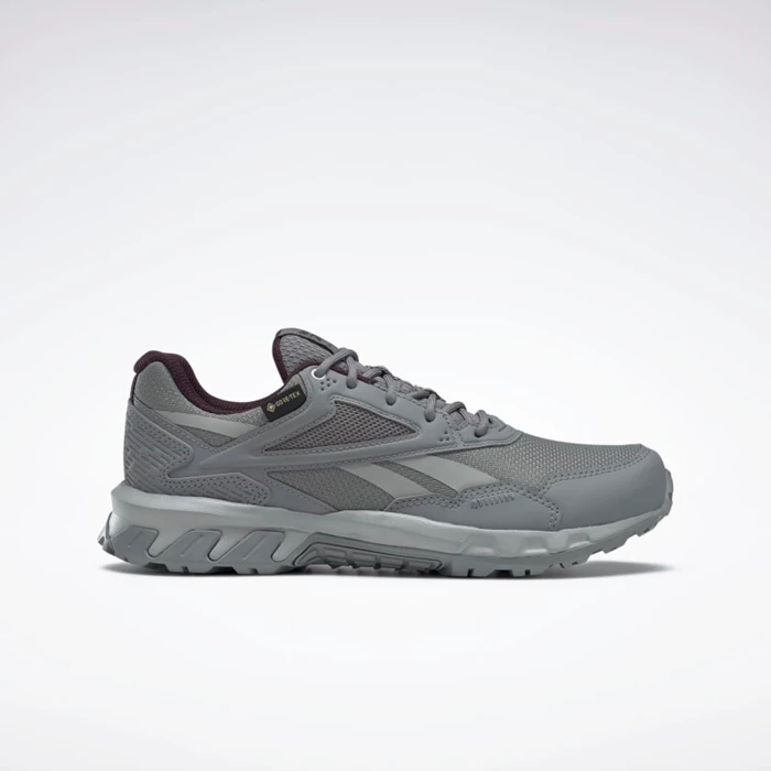 Reebok Ridgerider GTX 5.0 Women\'s Hiking Shoes Grey/Grey | PH398UJ