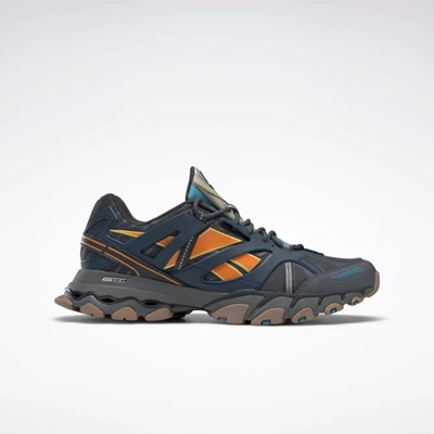 Reebok DMX Trail Shadow Men's Training Shoes Grey/Indigo/Orange | PH241EH