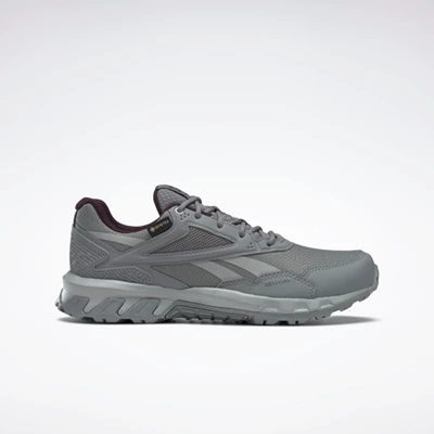 Reebok Ridgerider GTX 5.0 Women's Hiking Shoes Grey/Grey | PH398UJ